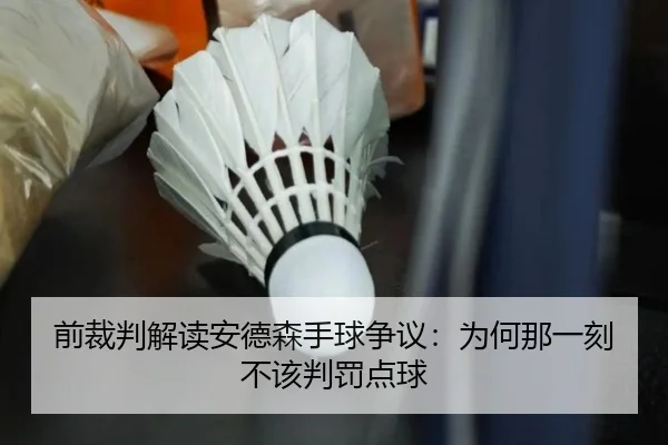 前裁判解读安德森手球争议：为何那一刻不该判罚点球